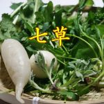 七草の由来とは 七草粥に入れるものについて いつ頃食べればいい？